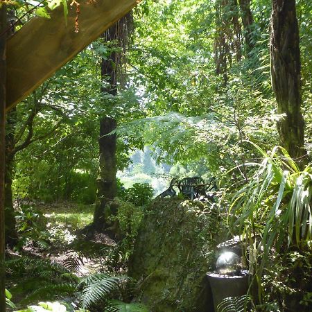 Bed and Breakfast Mount Tutu Eco-Sanctuary à Ohauiti Extérieur photo