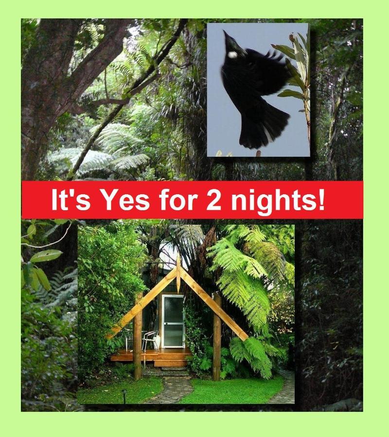 Bed and Breakfast Mount Tutu Eco-Sanctuary à Ohauiti Extérieur photo